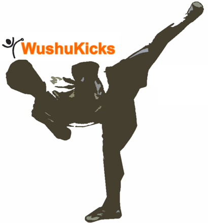 wushukicks kicks