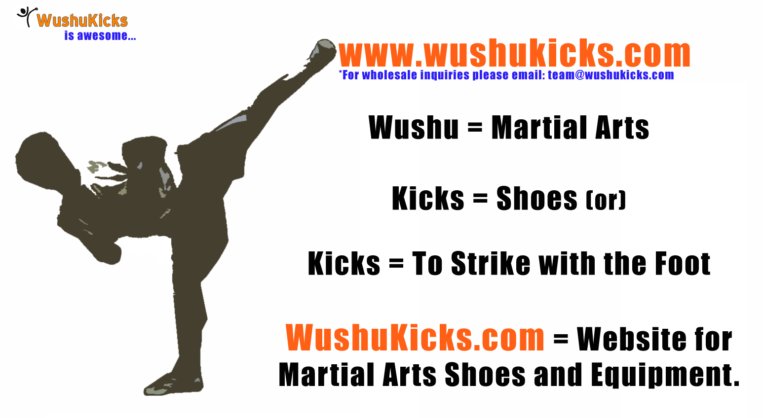 WushuKicks Ad